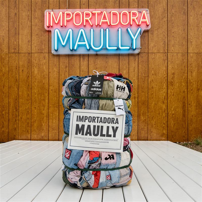 Importadora Maully — sitio actual